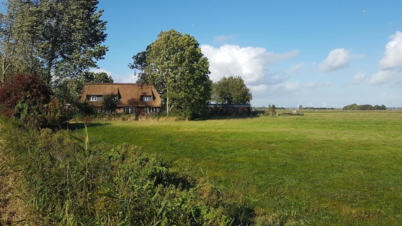 Ferienwohnung Marschkieker - Kleiner Deichhof Hattstedtermarsch Exterior foto