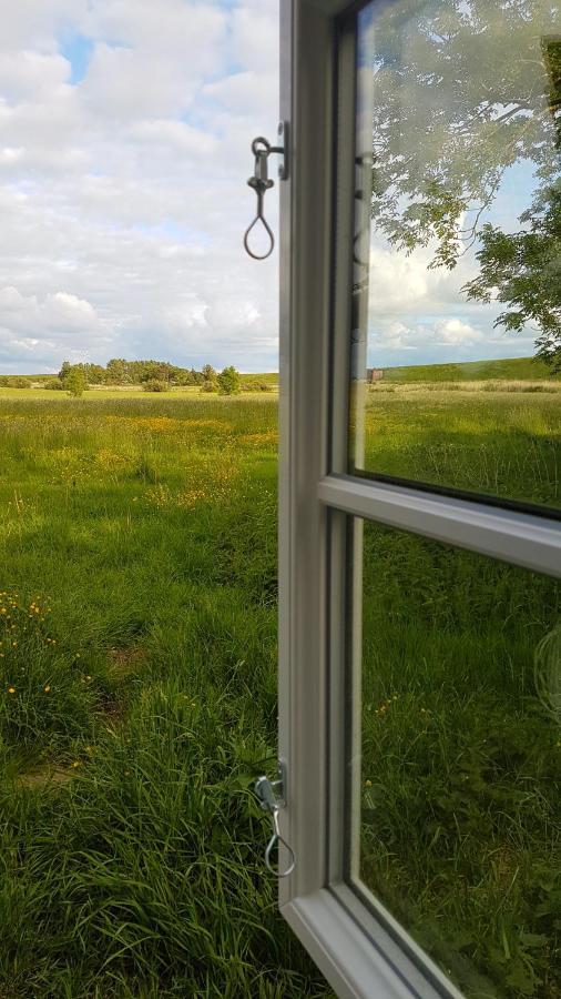 Ferienwohnung Marschkieker - Kleiner Deichhof Hattstedtermarsch Exterior foto